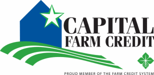 Election Logo
