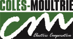 Election Logo