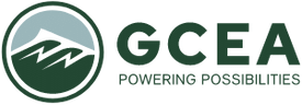 Election Logo