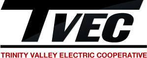 Election Logo