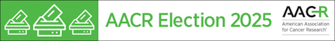 Election Logo