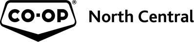 Election Logo