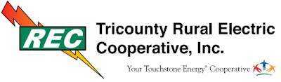 Election Logo